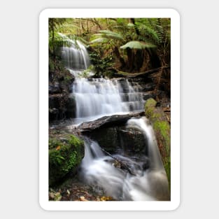 Myrtle Falls, Mt Wellington, Tasmania Sticker